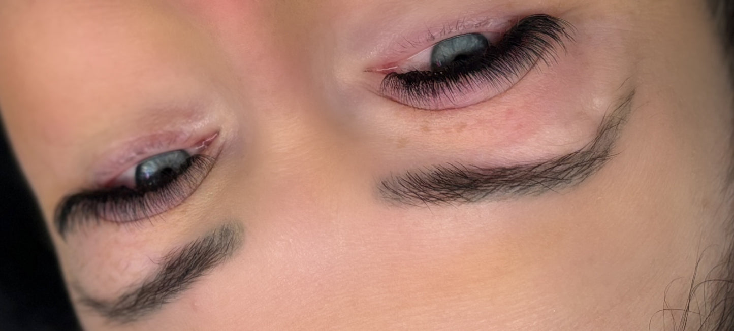 Premade Easy Lashes 6D